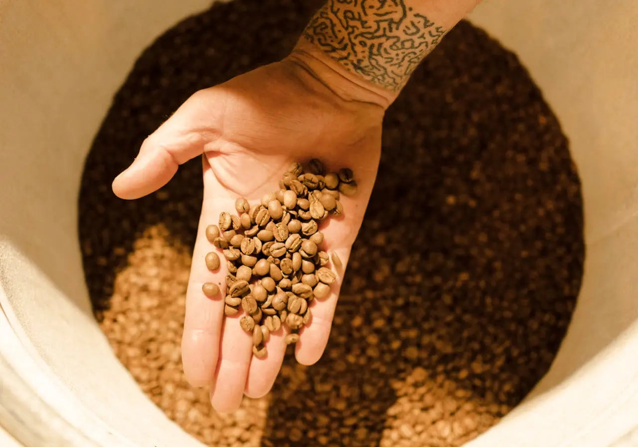 Arabica vs Robusta: What’s Really in Your Cup?